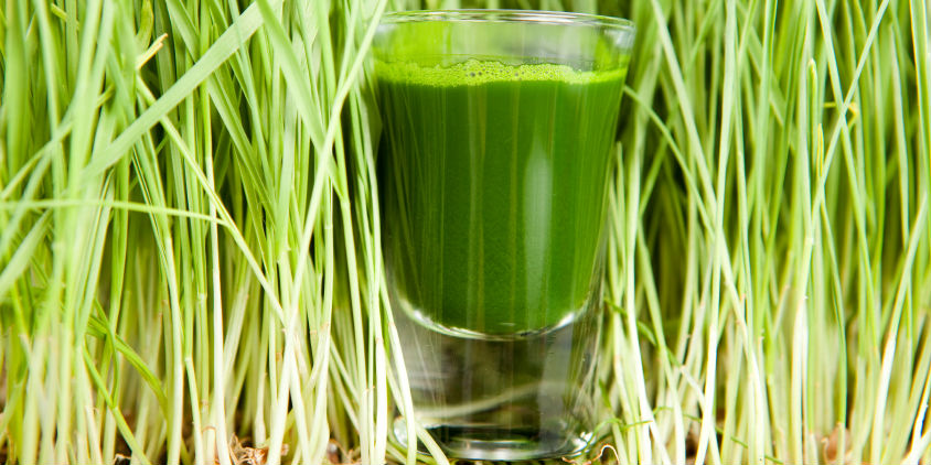 nama juicer wheatgrass